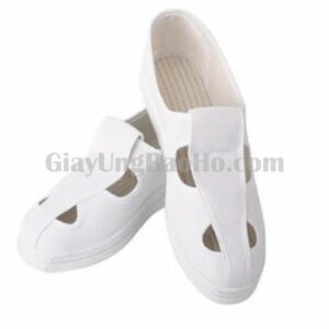 Giày Bảo Hộ An Toàn
